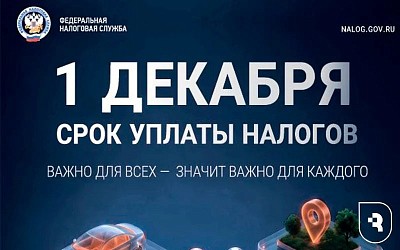 УФНС напоминает: успейте оплатить налоги!